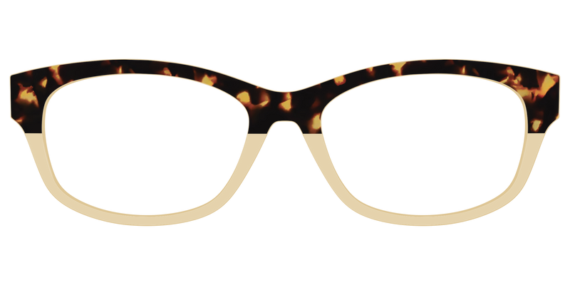ADDISON_AMBERTORTOISECRYSTALSPLIT_25_TOTALLYTORTOISE_3D