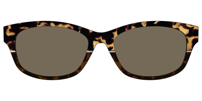 ADDISON_CHICTORTOISESPLITSUNTOP_26_FARMERSMARKET_3D