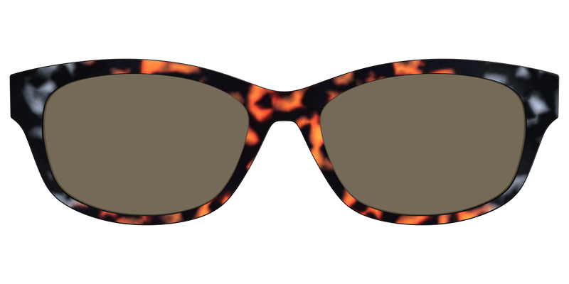 ADDISON_POLARIZEDGRAYANDAMBERTORTOISESUNTOP_26_LAKEHOUSE_3D
