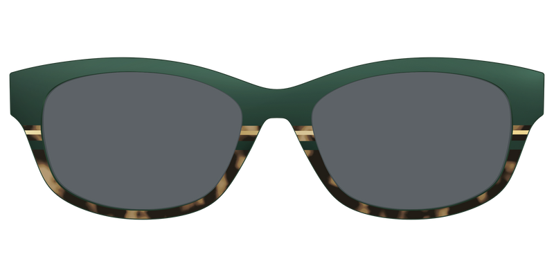 ADDISON_POLARIZEDSPRUCETORTOISESUNTOP_26_STPATRICKSDAY_3D