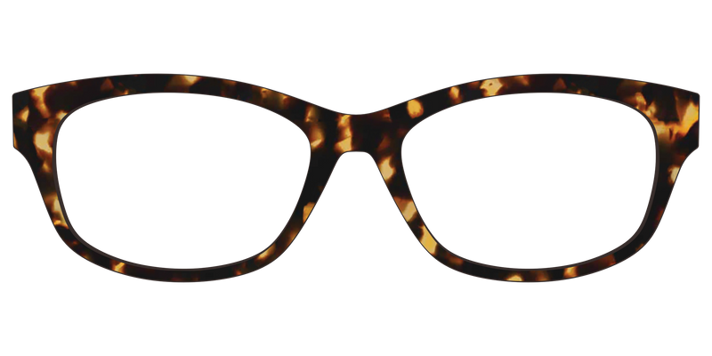 ADDISON_TORTOISE_21_TORTOISE_3D