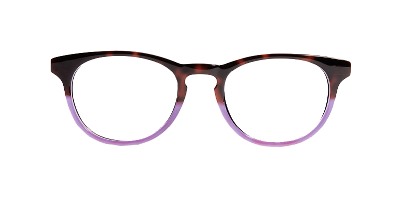 the-purple-tortoise